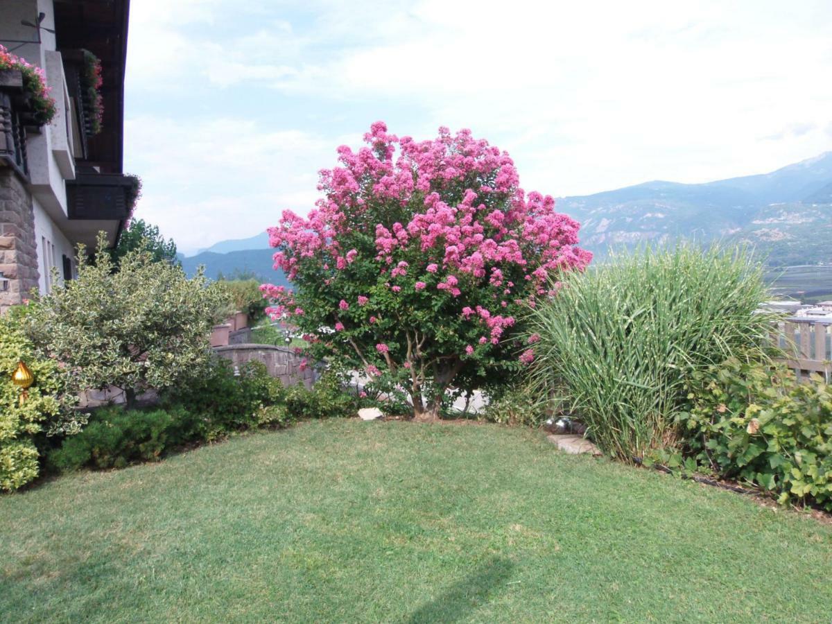 Garni Runggner Traubenhof Hotel Termeno Exterior photo